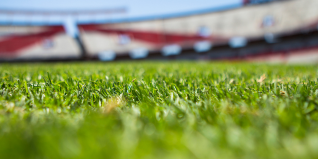 Professional Football Turf