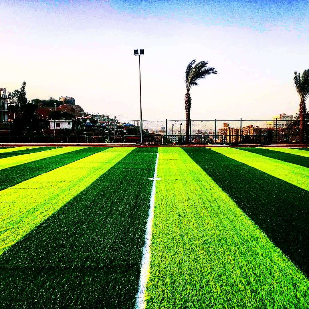 football Turf