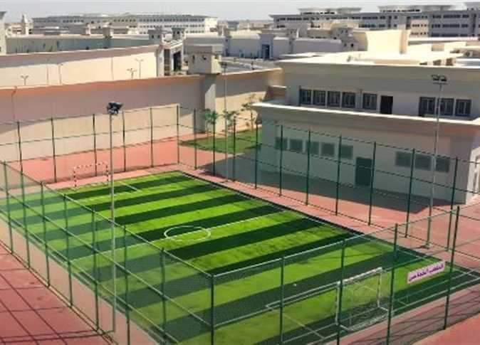 football Turf